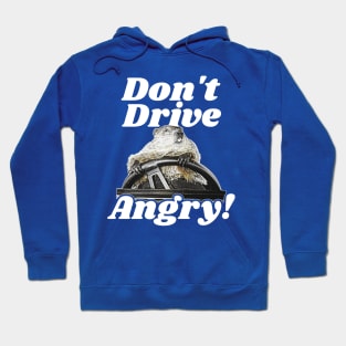 Don't Drive Angry! Hoodie